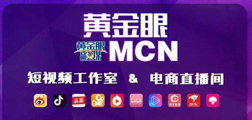 浙江网红mcn服务,打造新势力，引领内容营销新潮流
